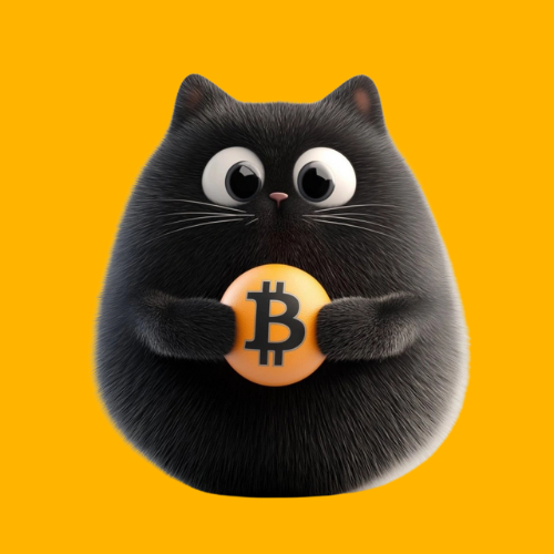 Bitcat
